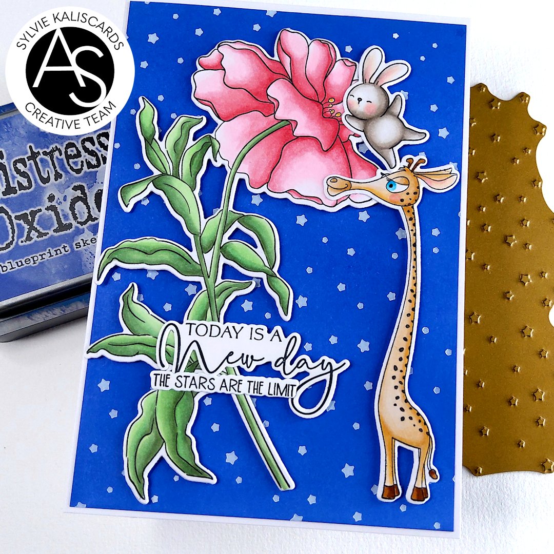 Midnight Blooms Stamp Set