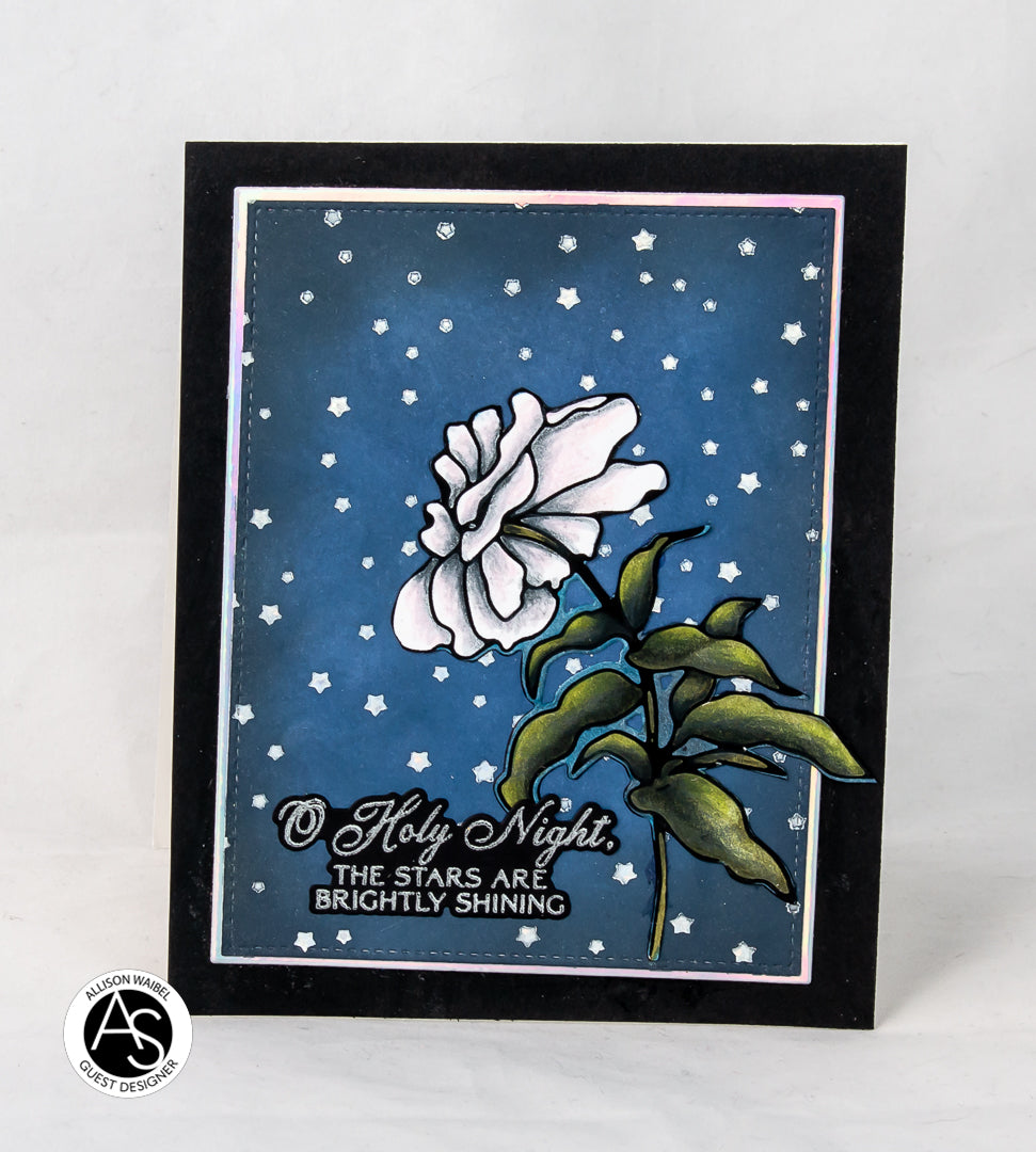 Midnight Blooms Stamp Set