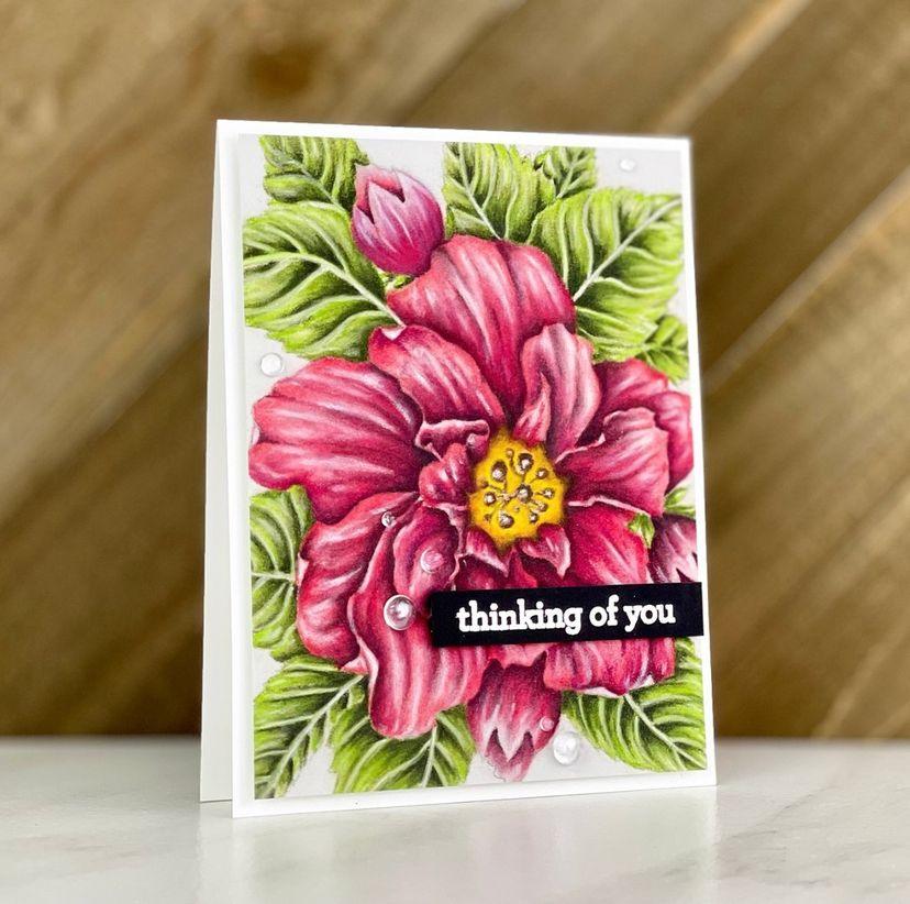 Enna's Ruffles Hibiscus Digital Stamp - Alex Syberia Designs