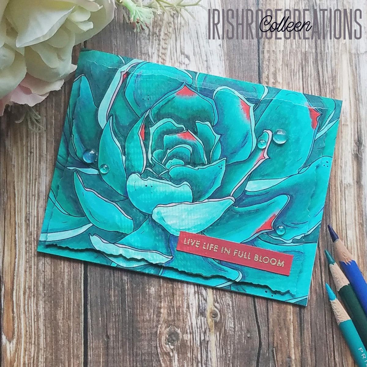 Succulent Close-Up Digital Stamp - Alex Syberia Designs