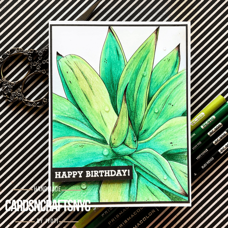 Aloe Close-Up Digital Stamp - alexsyberiadesigns