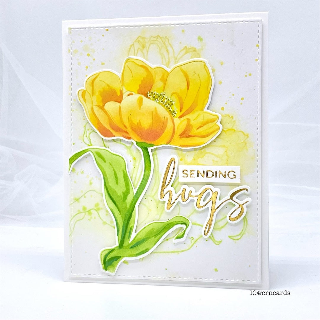 Tulips Treasure Die Set