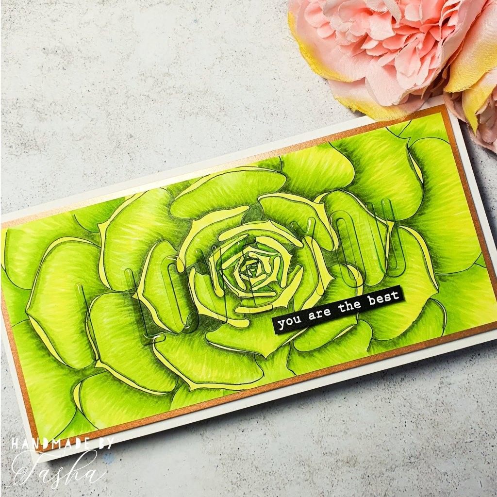 Succulent Slim Card Panel Digital Stamp - Alex Syberia Designs