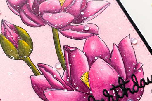 Coloured Pencils, Coloured Card Stock and Easy Blending | Alex Syberia Designs Lotus