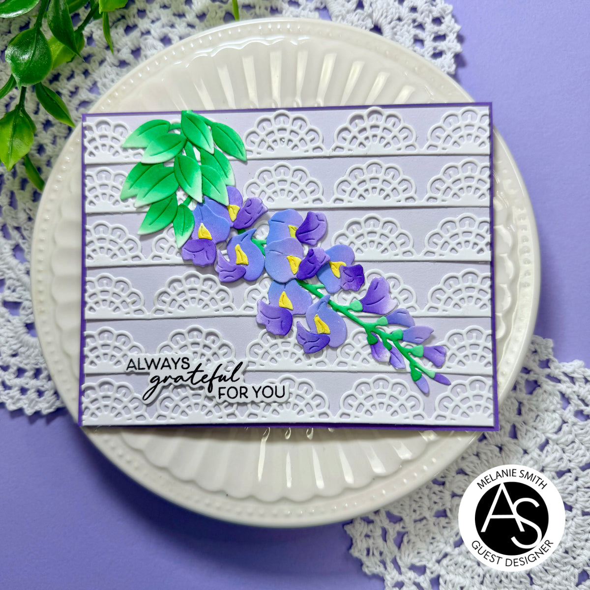 Lace Doilies & Borders Die Set