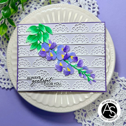 Lace Doilies & Borders Die Set