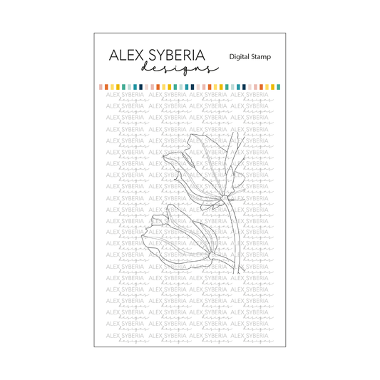 Tulip Close-up Digital Stamp - Alex Syberia Designs cardmaking coloring for adults stamps and dies spring flowers
