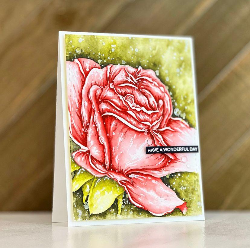 Rose Close-up A2 Card Panel Digi Stamp - Alex Syberia Designs
